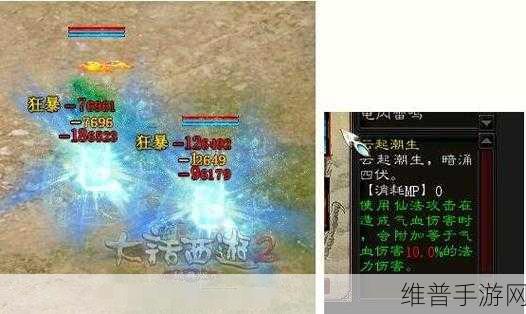 火影忍者手游深度技能剖析，杜门李与表莲华技能详解与实战运用