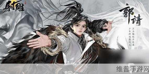神雕侠侣手游丐帮深度攻略，属性培养与流派选择全面剖析