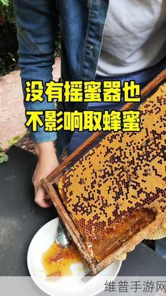 烟雨江湖深度探索，蜜蜂寻觅与蜂蜜获取全攻略