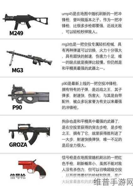 和平精英2024伤害最高武器排行全面更新,顶级高伤枪深度排名及详细解析