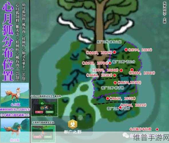 创造与魔法手游攻略，薄荷紫苏茄子黄瓜位置全解析