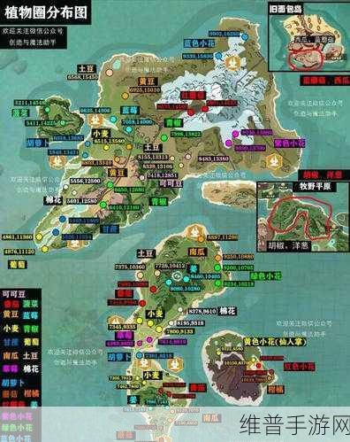 创造与魔法秃子伙伴获取及养成全攻略