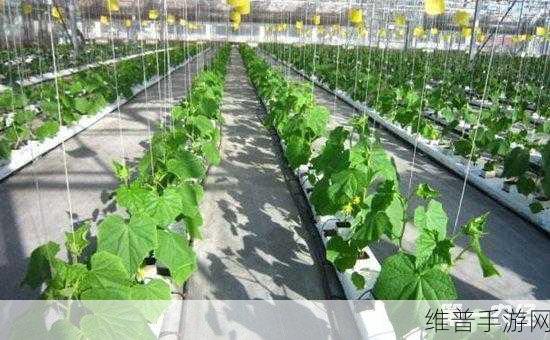 华宝新能闪耀COP29，手游界绿色发展的新探索与实践
