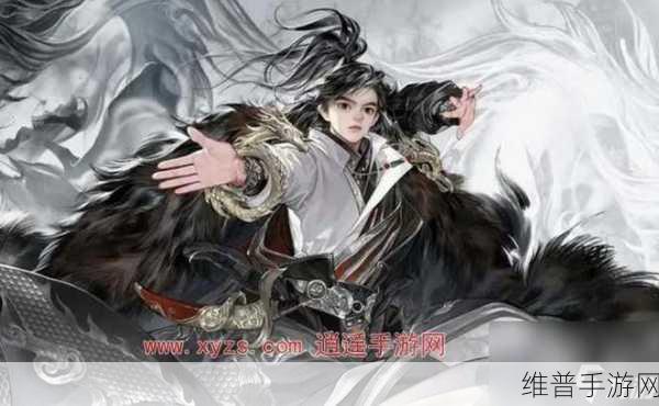 射雕手游杨康阵容搭配全攻略，打造无敌战队