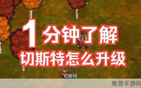 饥荒手游攻略，切斯特的妙用与代码推荐