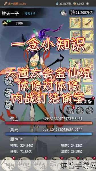 诛仙手游天道幻境深度攻略，解锁排位赛新玩法