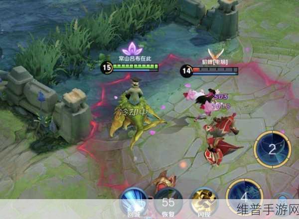 王者荣耀庄周深度攻略,解锁辅助坦克的无限潜能