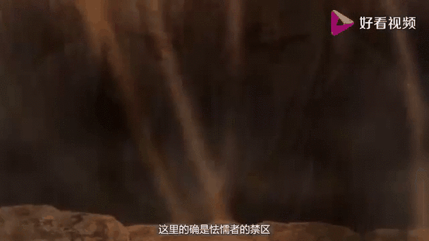 狐妖小红娘手游停运深度剖析,从辉煌到落幕的反思