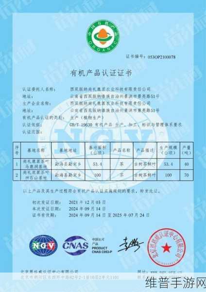 BSI权威认证助力，浙江晟霖益嘉手游品质再升级
