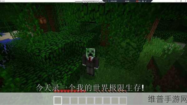 我的世界极限生存，资源获取与快速崛起的策略指南