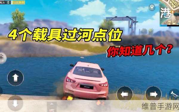 和平精英国际服，揭秘霸王龙高效过河策略