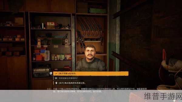 潜行者2一线希望，深度解析支线任务攻略与网友热评推荐指南