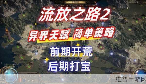 流放之路手游攻略，如何调整视距以提升游戏体验