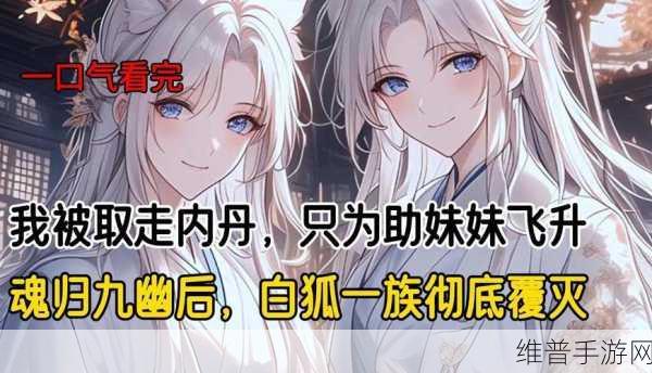 有杀气童话深度攻略，九尾狐媚儿与光少年金木的完美组合
