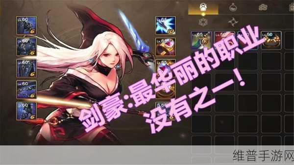 DNF手游深度解析,流浪武士与剑豪的同一性探讨