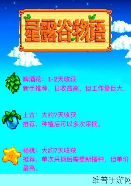 星露谷物语果酱制作方法详解，打造你的甜蜜事业