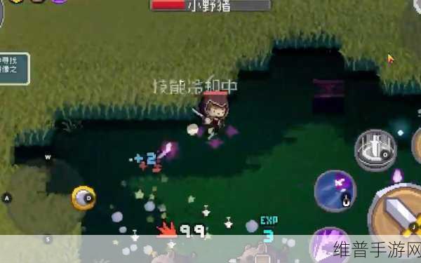 元气骑士刺客皮肤银藏，全面获取攻略及深度解析