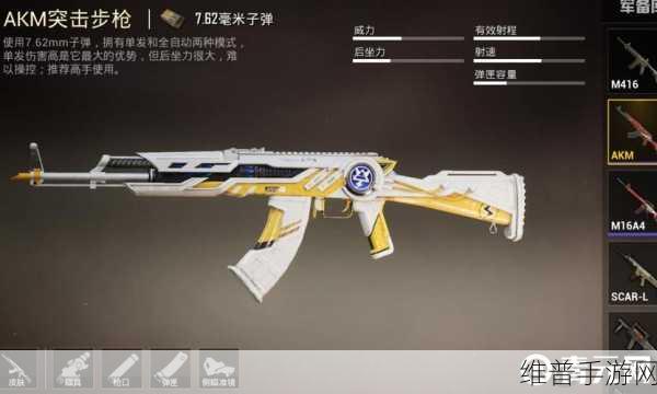和平精英抽枪皮肤保底攻略，精准解析与数据分享