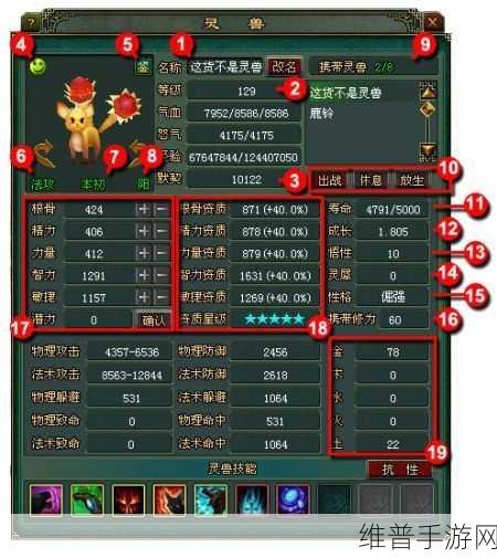 倩女幽魂手游灵兽技能深度解析与玩法指南