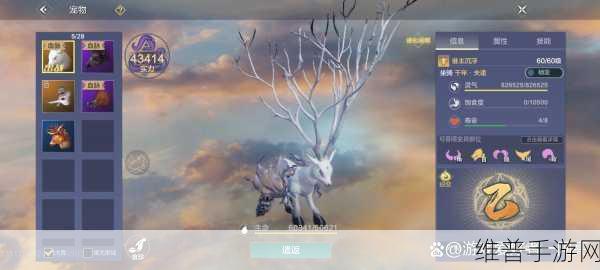 妄想山海0氪玩家宠物选择全攻略