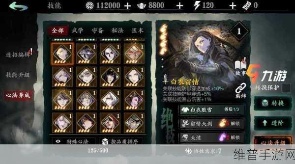 影之刃3铁公主63级高效技能搭配与实战深度解析