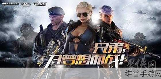 穿越火线端游体验服申请全攻略,资源管理视角下的深度剖析