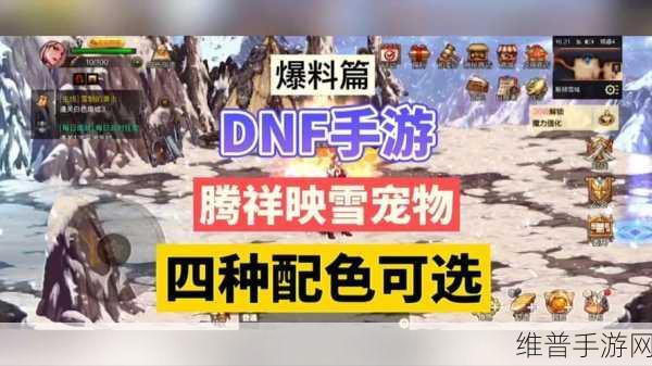 地下城与勇士DNF手游,全面解析宠物获取攻略