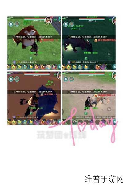 创造与魔法童趣跷跷板获取攻略及最低到手价格详解