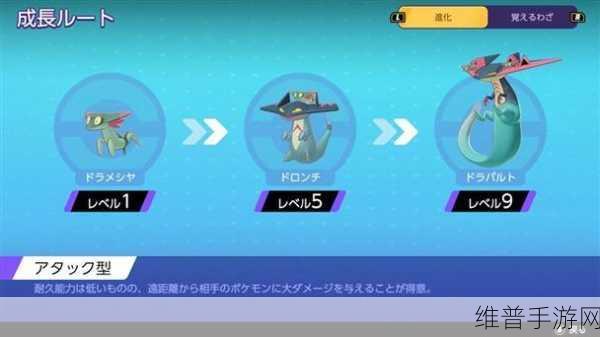 宝可梦大集结，深度解析龙舞流多龙巴鲁托玩法与介绍