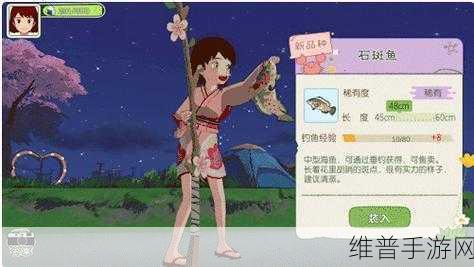 小森生活手游攻略，揭秘猫爪石的多样用途