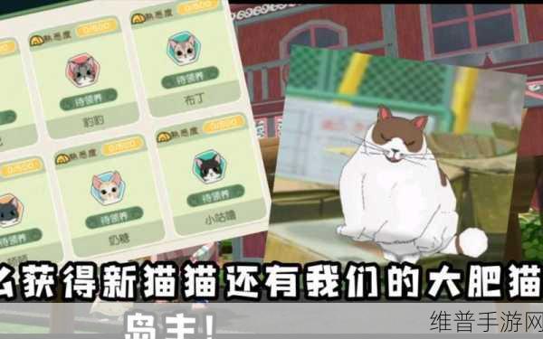 小森生活手游攻略，揭秘猫爪石的多样用途