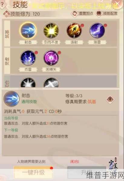 天下手游深度攻略，大荒演武堂全解析与南宫天鸣战斗指南