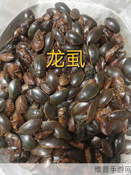 大侠立志传龙虱获取全攻略，解锁武侠世界的珍稀药材