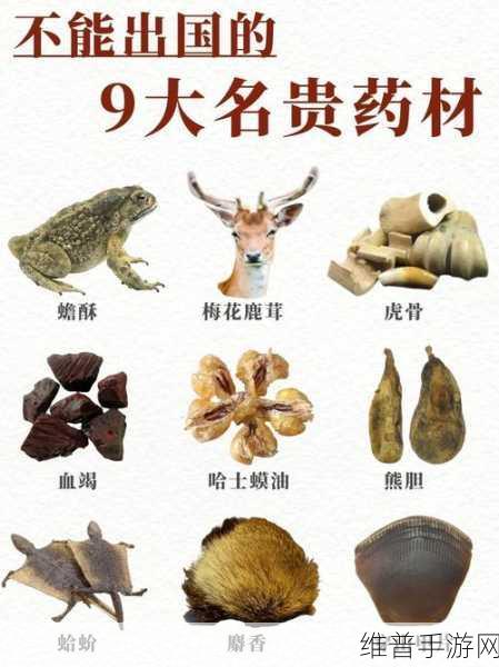 大侠立志传龙虱获取全攻略，解锁武侠世界的珍稀药材