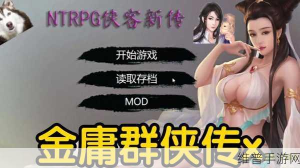 金庸群侠传X顶级拳法组合攻略，助你登上武林之巅