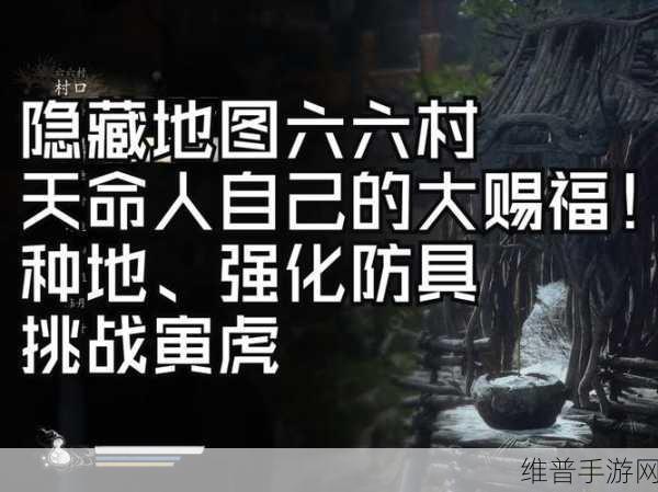 黑神话悟空，揭秘六六村的进入方法与深度探索攻略