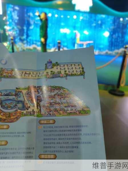 创造与魔法，月琴岛全攻略——探寻梦幻花海的奇妙之旅