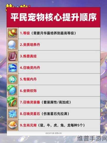 梦幻西游手游，坐骑纹饰镶嵌攻略——深度解析如何选择消耗最少的纹饰镶嵌方式