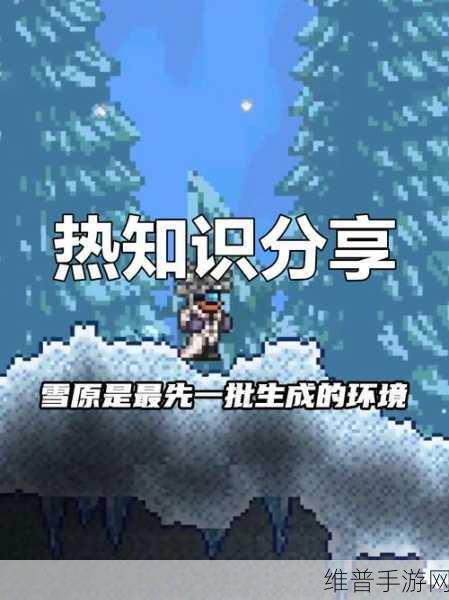 泰拉瑞亚挑战全面升级，新手玩家如何避免惨遭血虐，高效玩法攻略大揭秘！