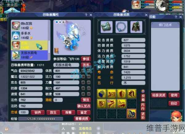 梦幻西游手游龙宫70级，装备打造与攻略指南