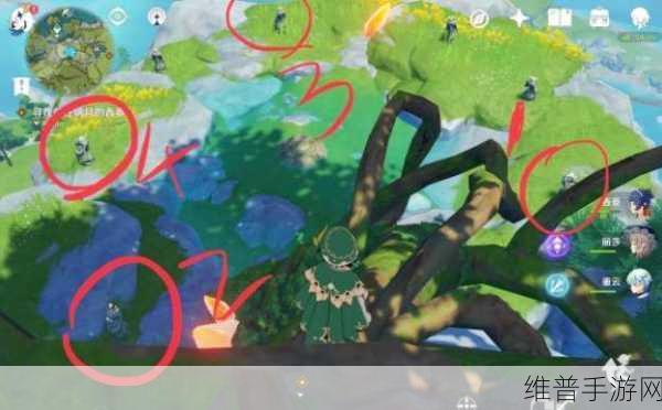 原神无妄坡石像点亮顺序全攻略，解锁隐藏宝箱的秘诀