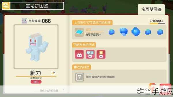 宝可梦大探险，全面解析腕力进化攻略