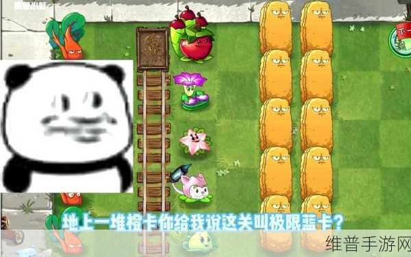 植物大战僵尸2深度攻略，板栗小队——蓝卡中的战斗堡垒