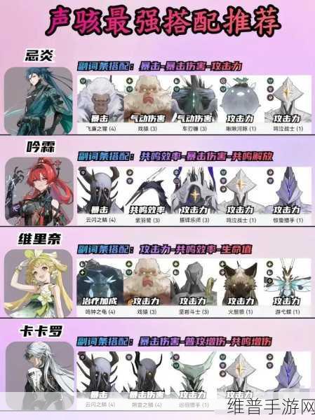 鸣潮手游深度攻略，声骸穿戴搭配全解析