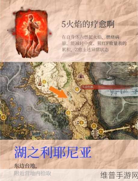 艾尔登法环DLC塔之镇井底钥匙详尽探索指南
