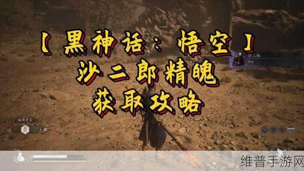 全面解析黑神话，悟空中沙二郎精魄的高效获取方法与技巧攻略