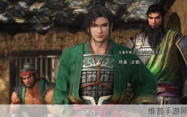 真三国无双起源，深度解析宝玉的妙用与攻略指南