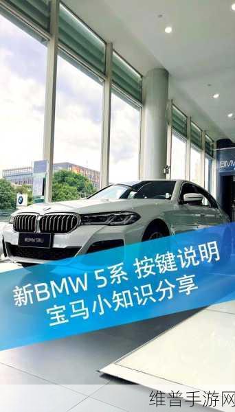 宝马5系灵感手游攻略，驾驶乐趣的完美诠释，从平衡至性能的全细节享受