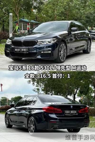 宝马5系灵感手游攻略，驾驶乐趣的完美诠释，从平衡至性能的全细节享受