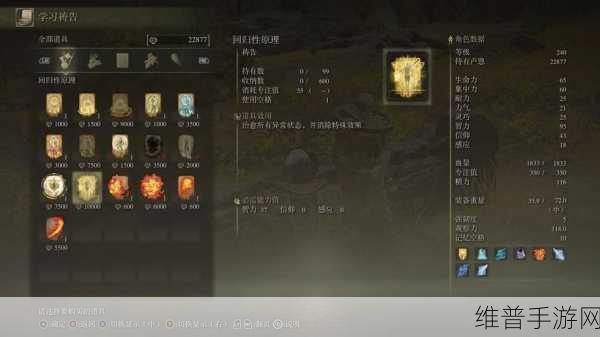 艾尔登法环手游攻略，全面解析如何提升信仰